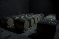 Wine cellar