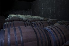 Wine cellar